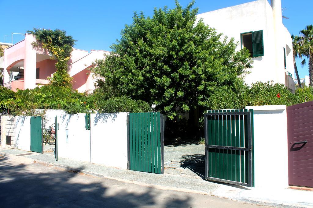 Verdementa Gallipoli